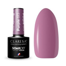 CLARESA Esmalte híbrido MORADO 613 -5g CLARESA Esmalte híbrido MORADO 613 -5g